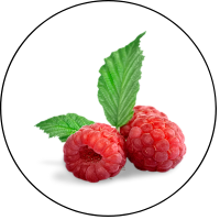 3_1